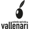 Logo Azienda Agricola Vallenari